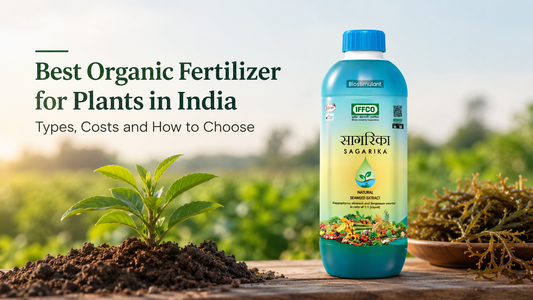 Best Organic Fertilizer for Plants in India: Types, Costs and How to Choose