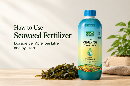 How to Use Seaweed Fertilizer: Dosage per Acre, per Litre and by Crop